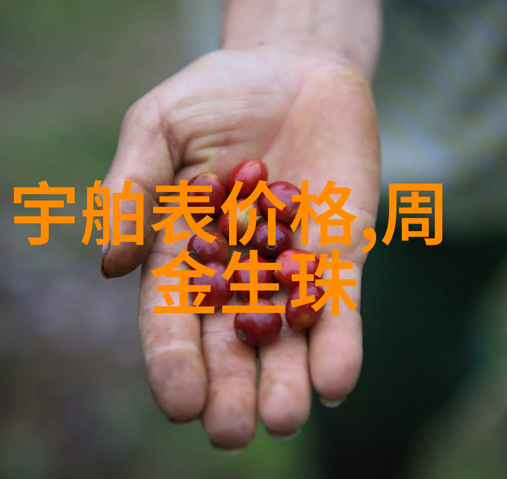 施华洛世奇闪耀125年之姿2020秋季系列在自然的舞台上独具匠心呈现今日黄金价格如同大自然中最璀璨的
