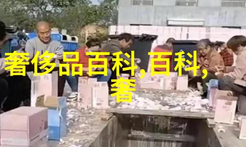 虚拟艺术的翅膀揭秘3D动画制作软件的神秘世界