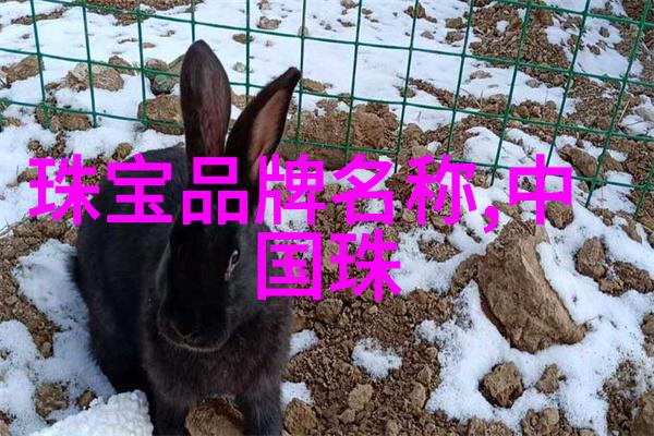 黄金首饰回收-闪耀重生黄金首饰的价值与回收艺术