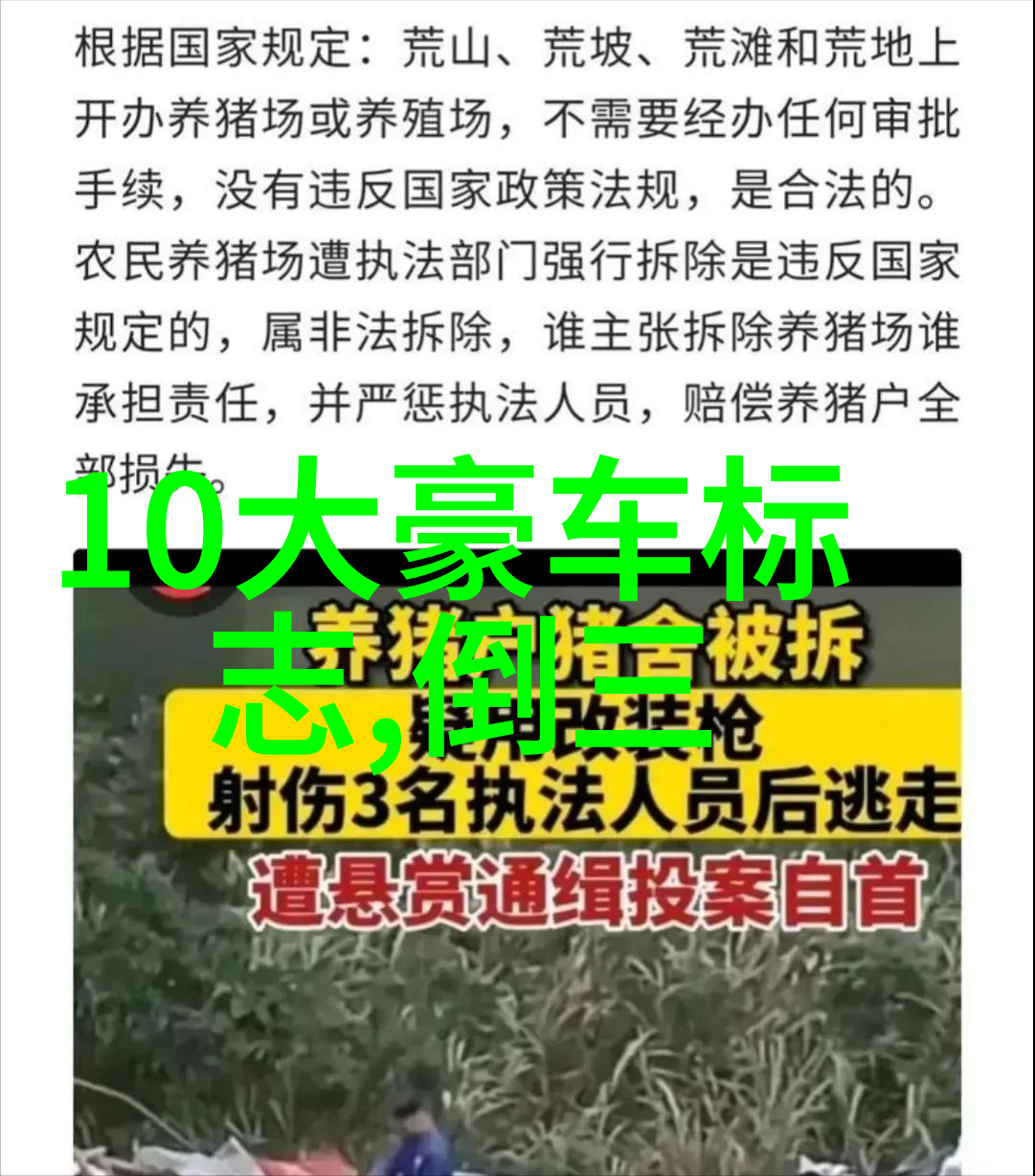 劳斯莱斯音乐魅影特别版豪华享受的旋律之旅