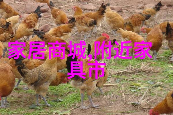 懒癌患者的福音有了这3样神器让你悠闲享受宅在家的温馨时光