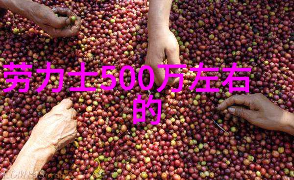 女士时尚发型新潮流秀场上最受瞩目的美丽姿态