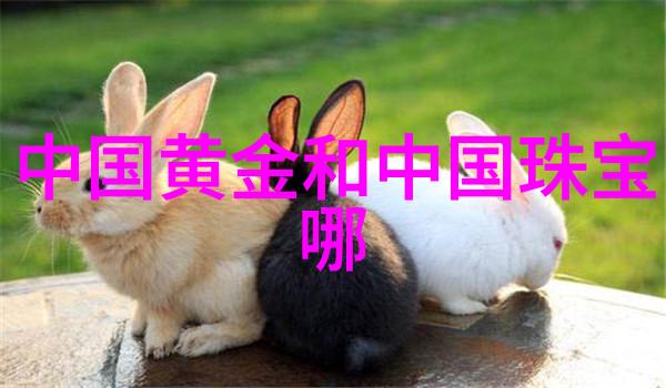 别再沉迷多肉啦现在流行豆盆栽特别第四款还有发财的寓意