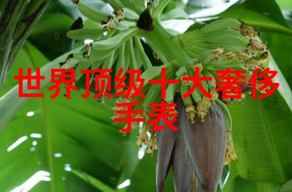 玩转发型儿童版100种扎头发技巧