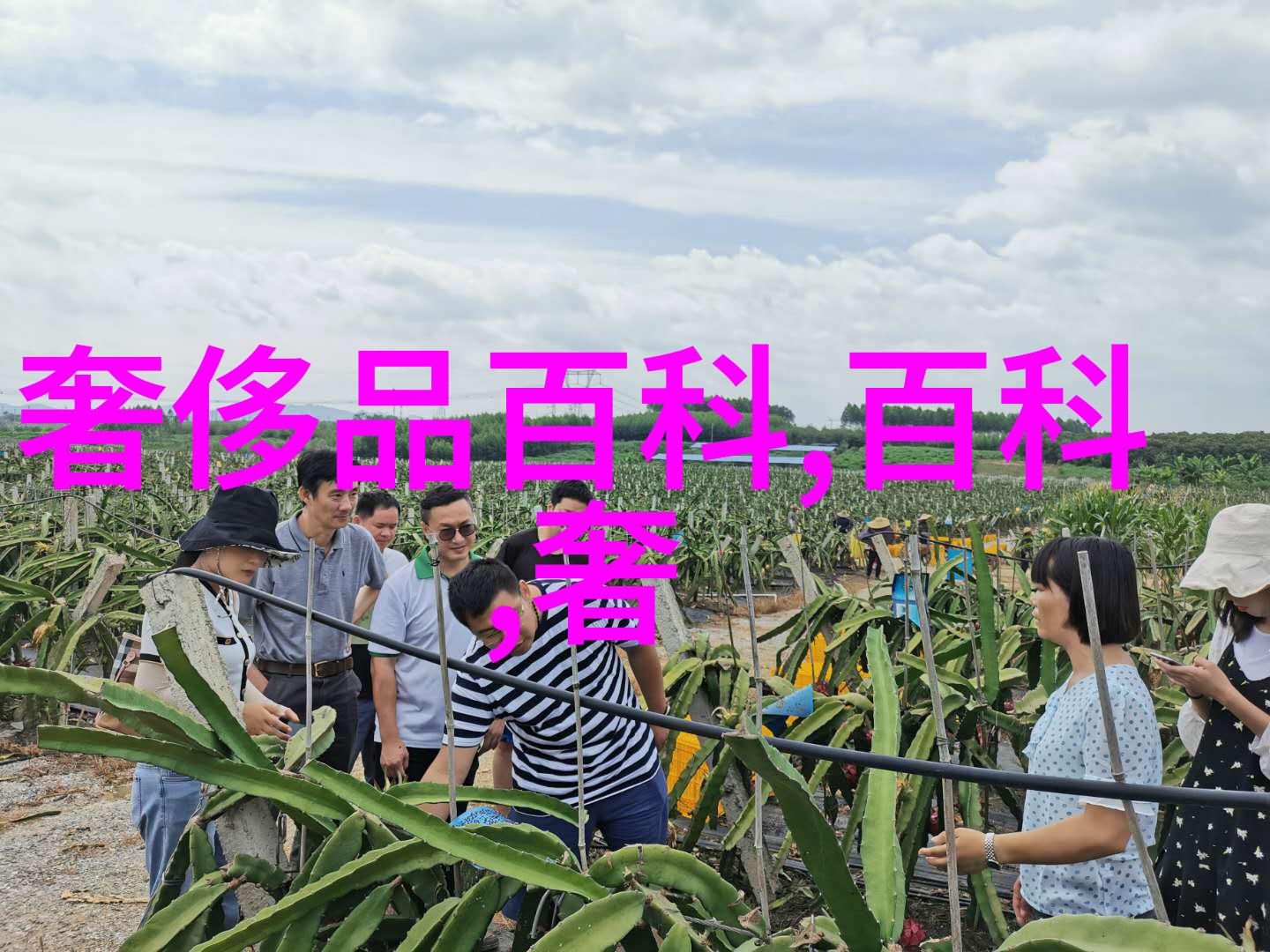 三十种B-探索生活中的三十种B从百宝箱到百变身