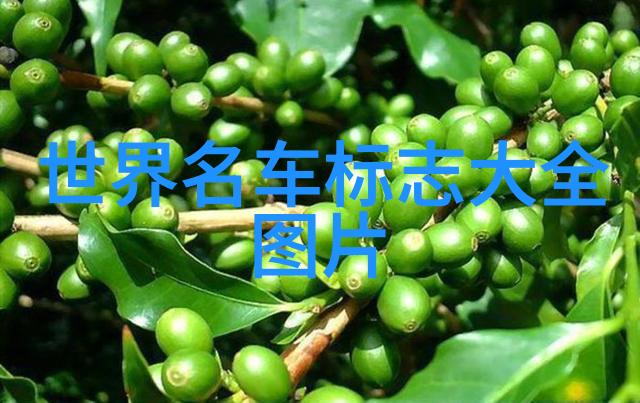 自己玩r头给我看快来看看我这游戏技术有多厉害