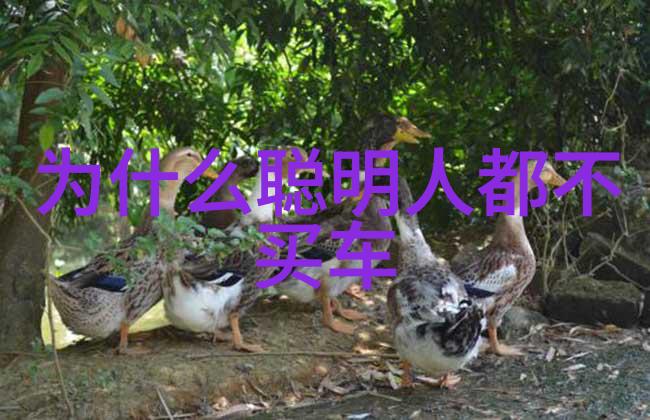 邪恶的力量在黑夜中悄无声息地蠢动穿越了千年历史的长河最终在某个被遗忘的小镇上激起了狂澜