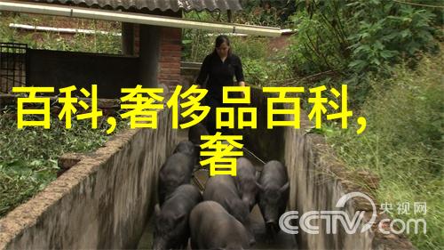 中秋节高速公路免费通行政策2021年中秋节高速公路免费通行情况