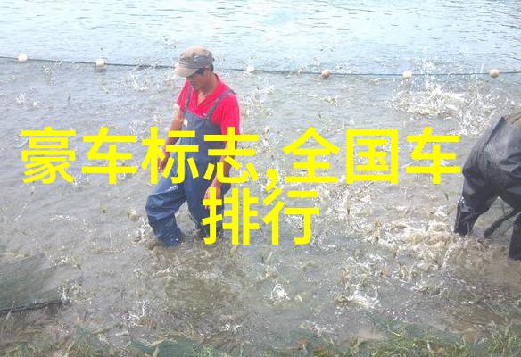 31会议高层决策的重要集会