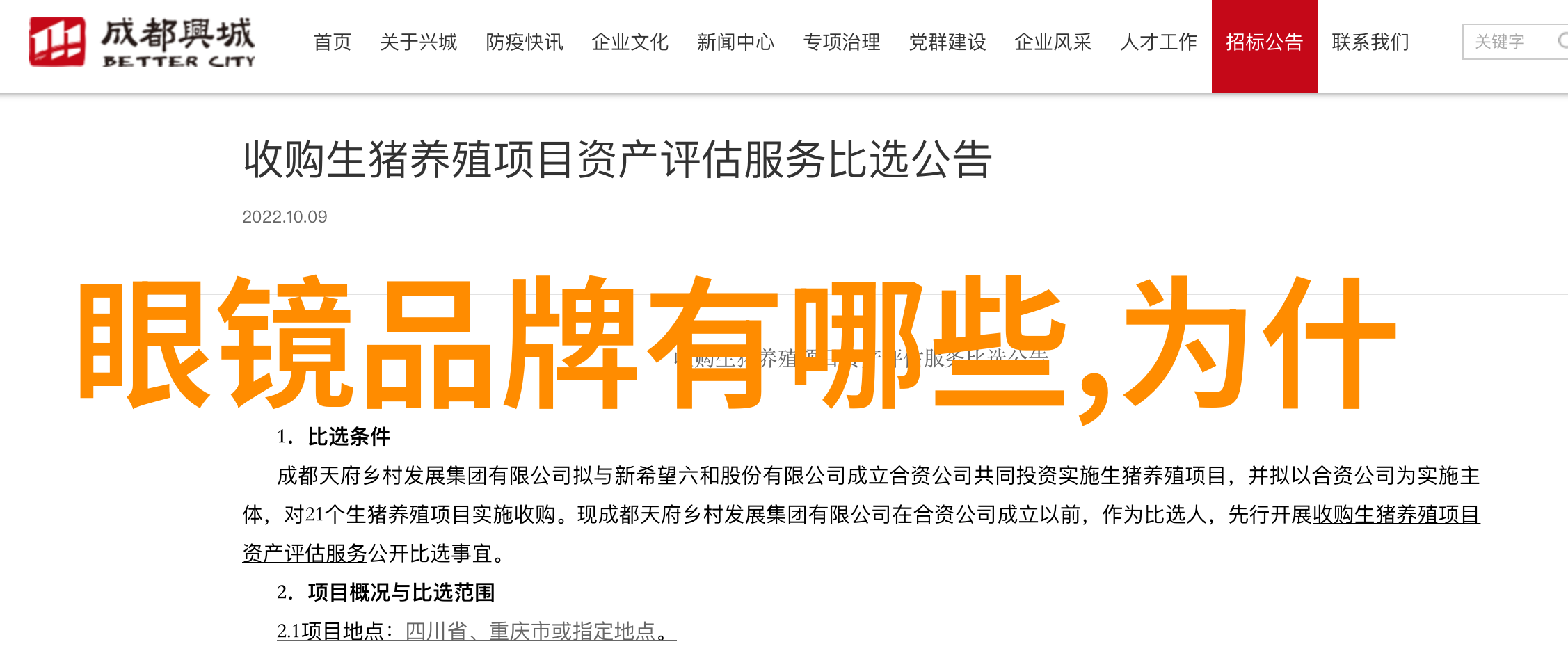 家居改造-宜家全屋定制从空间规划到个性化装饰的全方位解决方案