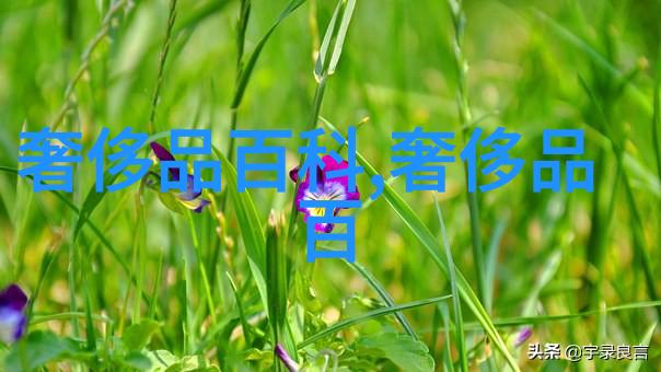 手指的颤抖与视频的混乱未增删的故事