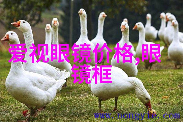 2022时尚发型女我是这样一个年轻的女性我喜欢尝试各种时髦的发型让自己在人群中脱颖而出