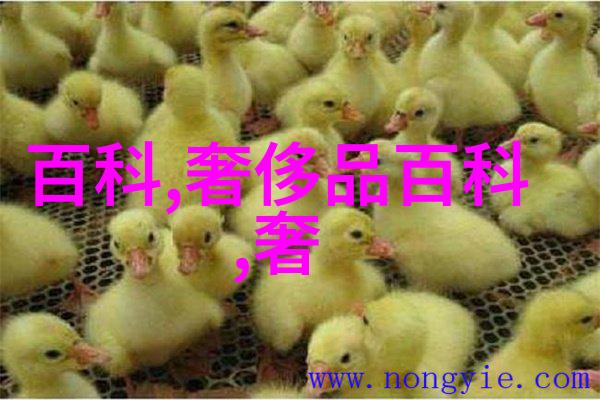 爸爸共享妈妈的桃花源-父爱与母爱的交汇 dads share moms peach blossom