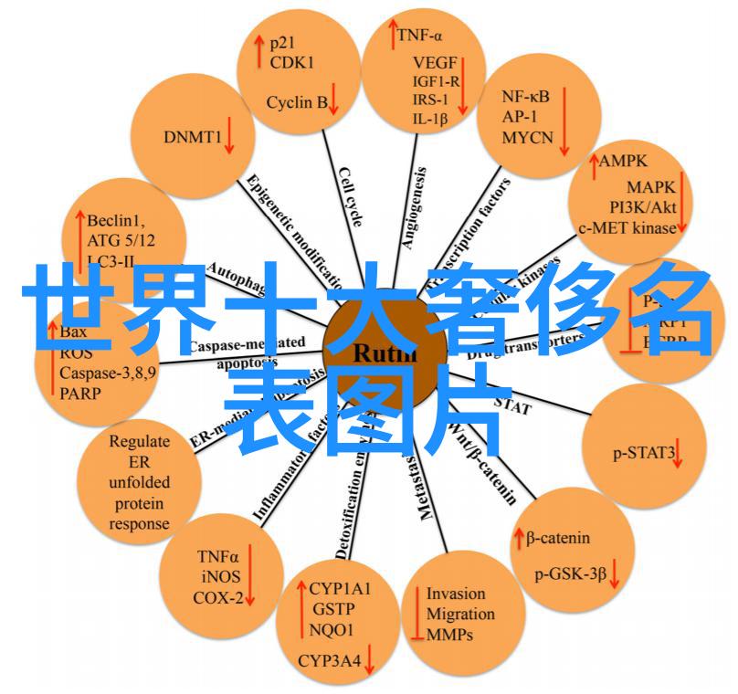 男生服装搭配网-夏季男生时尚搭配指南打造完美街头风
