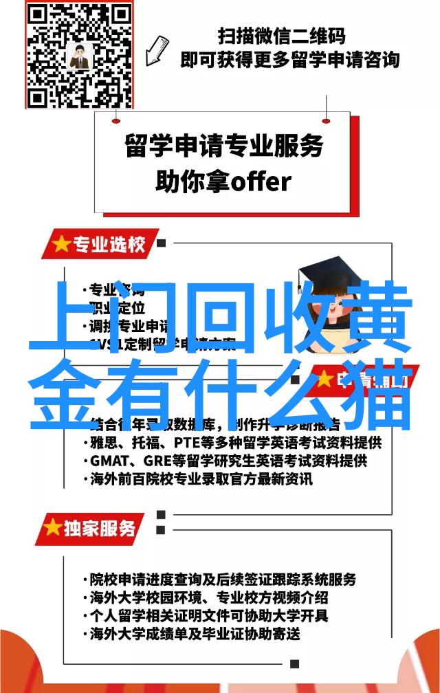 如何让你的面部特征脱颖而出利用最新时尚短发技巧