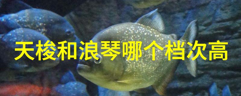 金色链条的摇滚2chainz的音乐梦想