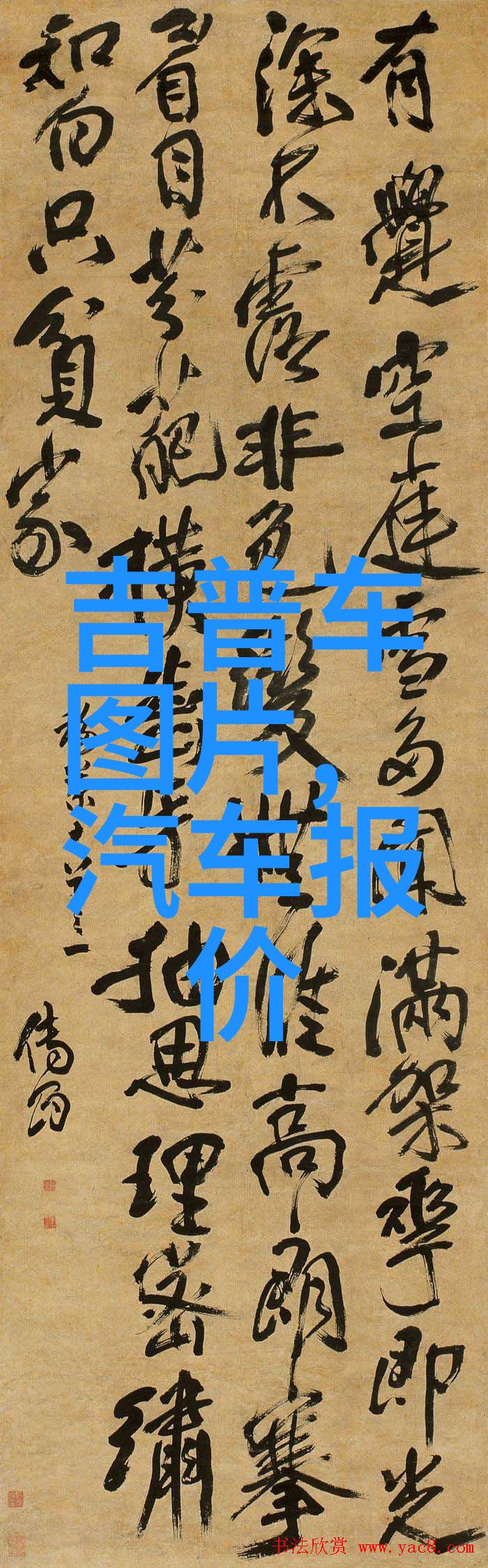 短发女士的日常护理有哪些秘诀