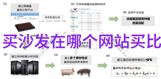 偷窃下载隐秘的数字世界中的盗版艺术与法律纠纷