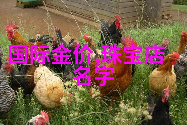 如何选择一家靠谱的卫衣批发商