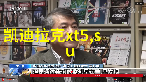 尼尚我的小伙伴在城市的日与夜