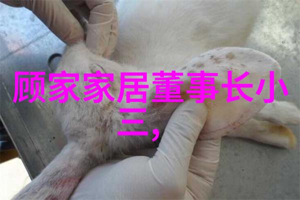大尺寸的小黄说字多肉小学小黄的奇妙日记每天都在用力说话