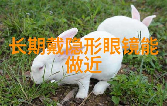 家具设计中的L型沙发能否提升家庭空间利用率