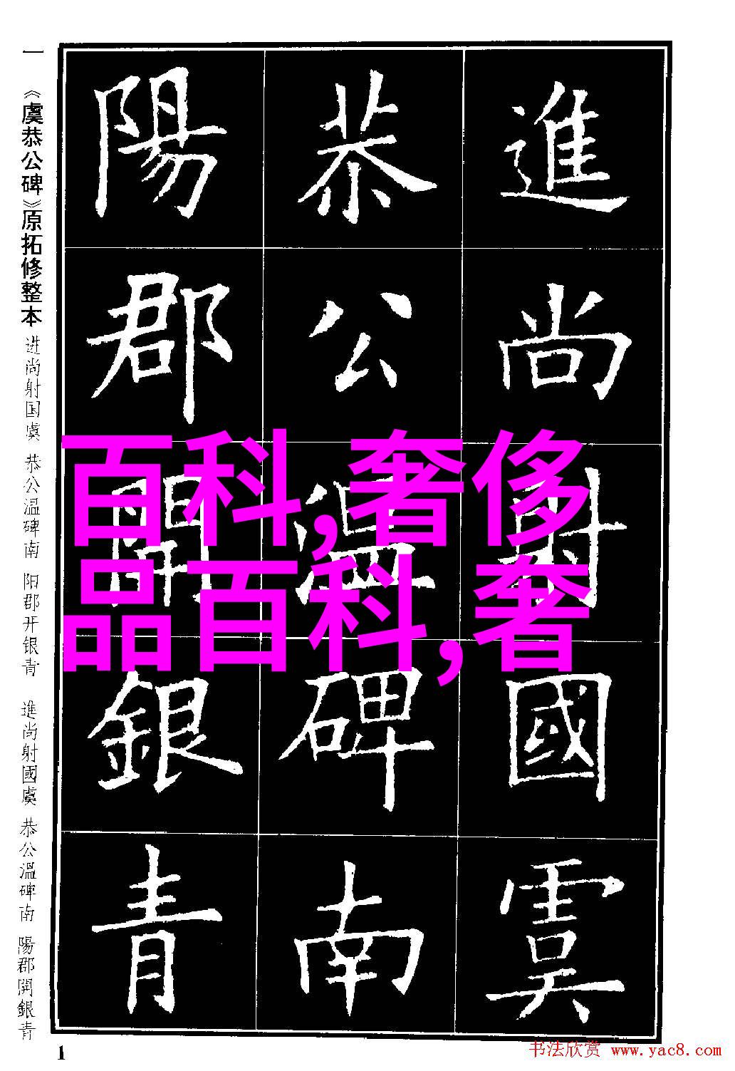 十万之选劳斯莱斯Inside Rolls-Royce北京盛宴