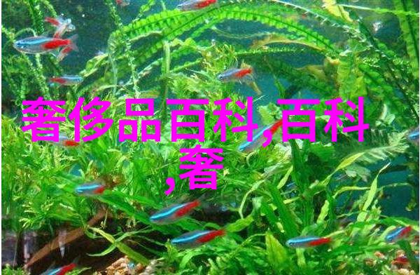 中长发编发图解-百变美髦中长发编发技巧图解一百种
