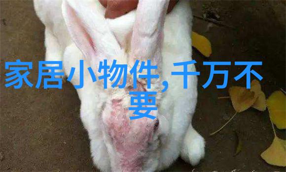 气派家居客厅里怎能少得了浓郁文化氛围的红木沙发