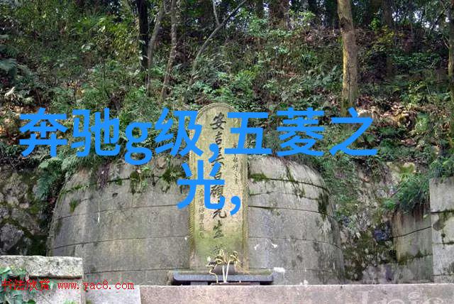 时尚男装夹克的演变与文化符号意义研究