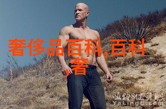 麻豆精品一卡二卡三卡 - 探秘麻豆精品一卡二卡三卡的魅力揭秘高端生活方式