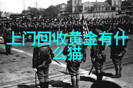 男士发型-探秘男士世界一览各种流行男士发型