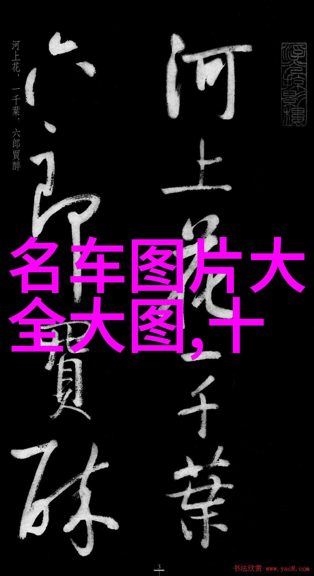 骄宠臣年小说我是皇帝的宠儿你猜我有多得意