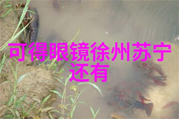 中年男性白发多发的原因探究