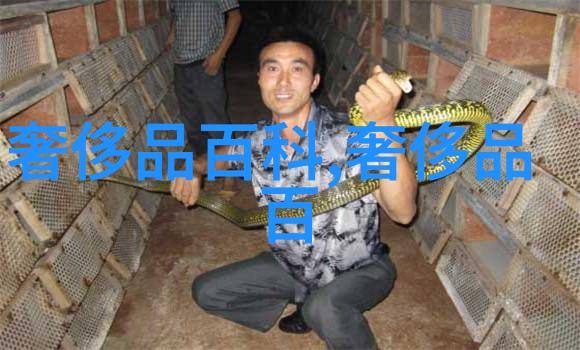 如何通过短发来彰显一个人的个性和气质特点