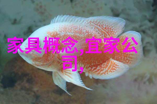 白雪公主的误入走一步撞一下的奇幻冒险