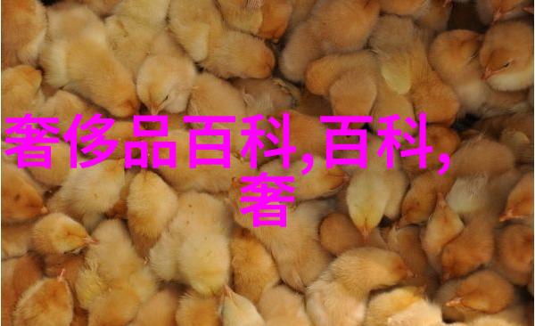 巴宝莉香水销量数据显示女香市场仍占主导地位男香市场潜力待发