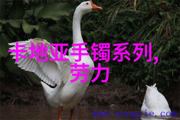 新纪元启航2024年未来的回响