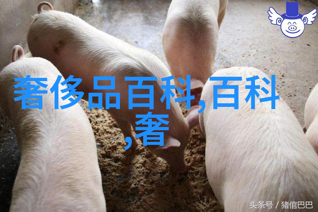 从乱发到简约一学就会的气质编发秘籍