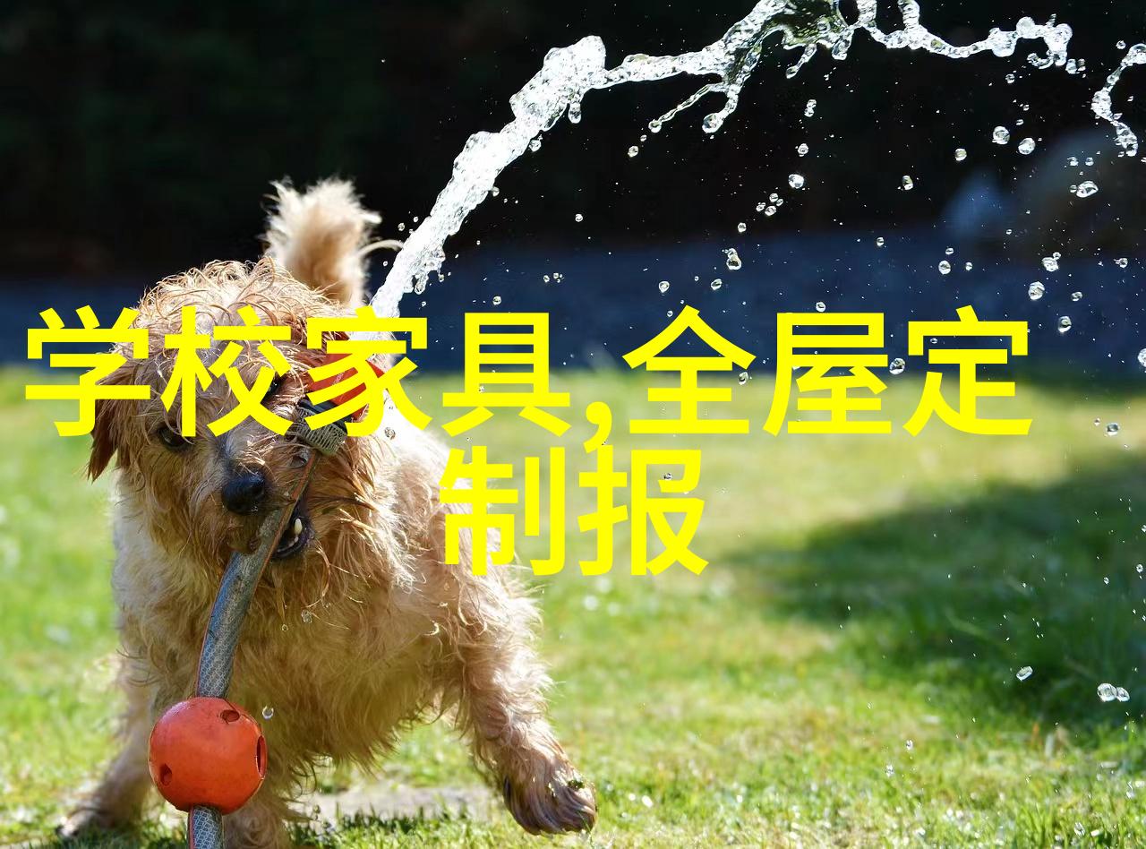 我与宠物的告别放手那只尾巴我是如何戒掉宠物成瘾的