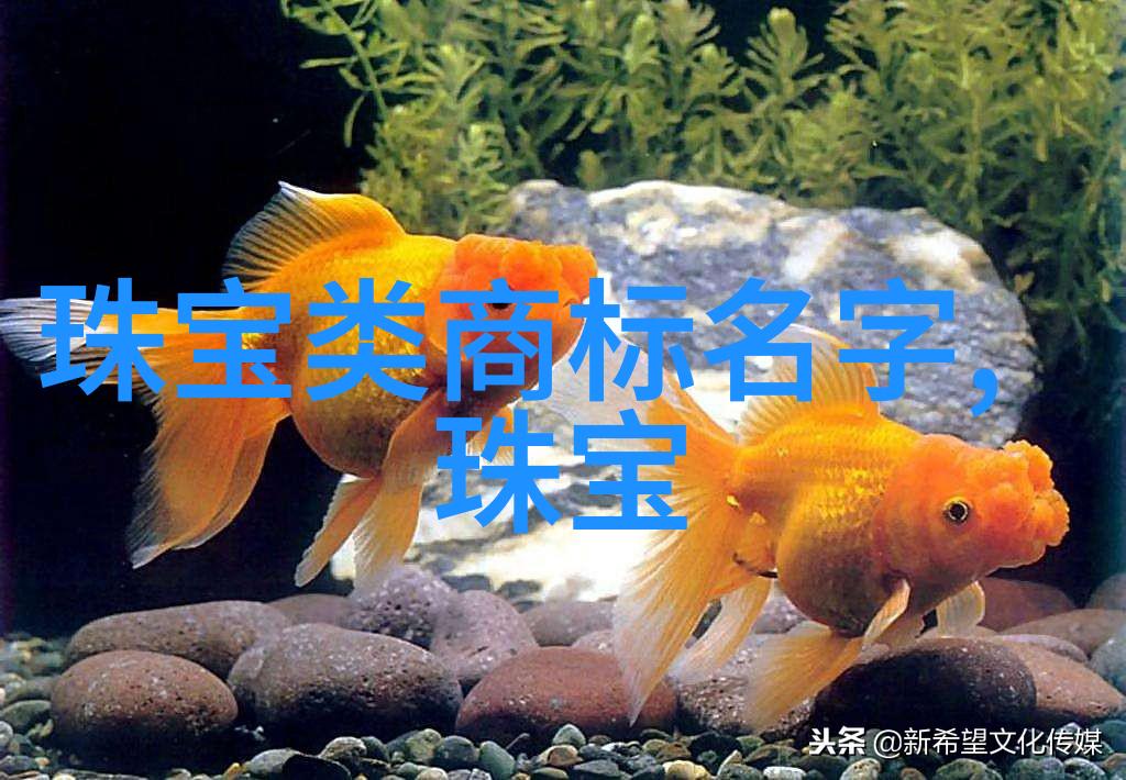 赌神的狂野追逐揭秘那些背后的人生故事