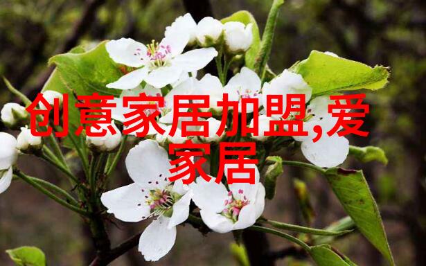 忍者世界的未来探索火影627时代的变革