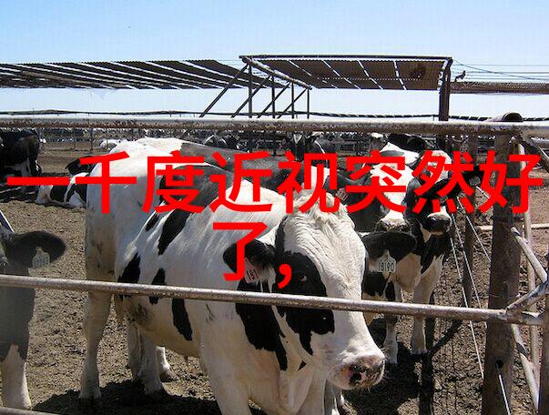 今年最流行的烫发发型叫我都快没法再辨认自己啦