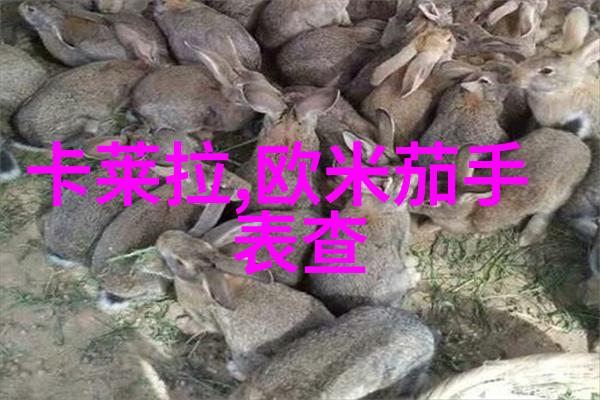 进行一次环保活动在别克林荫大道上将会如何进行