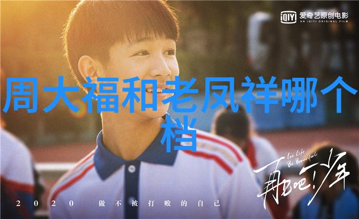 夜幕下的时尚谜案追踪chic cam的消失
