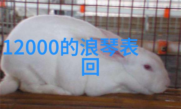 月下家宴宜家的全屋定制之舞揭秘幸福的每一个角落
