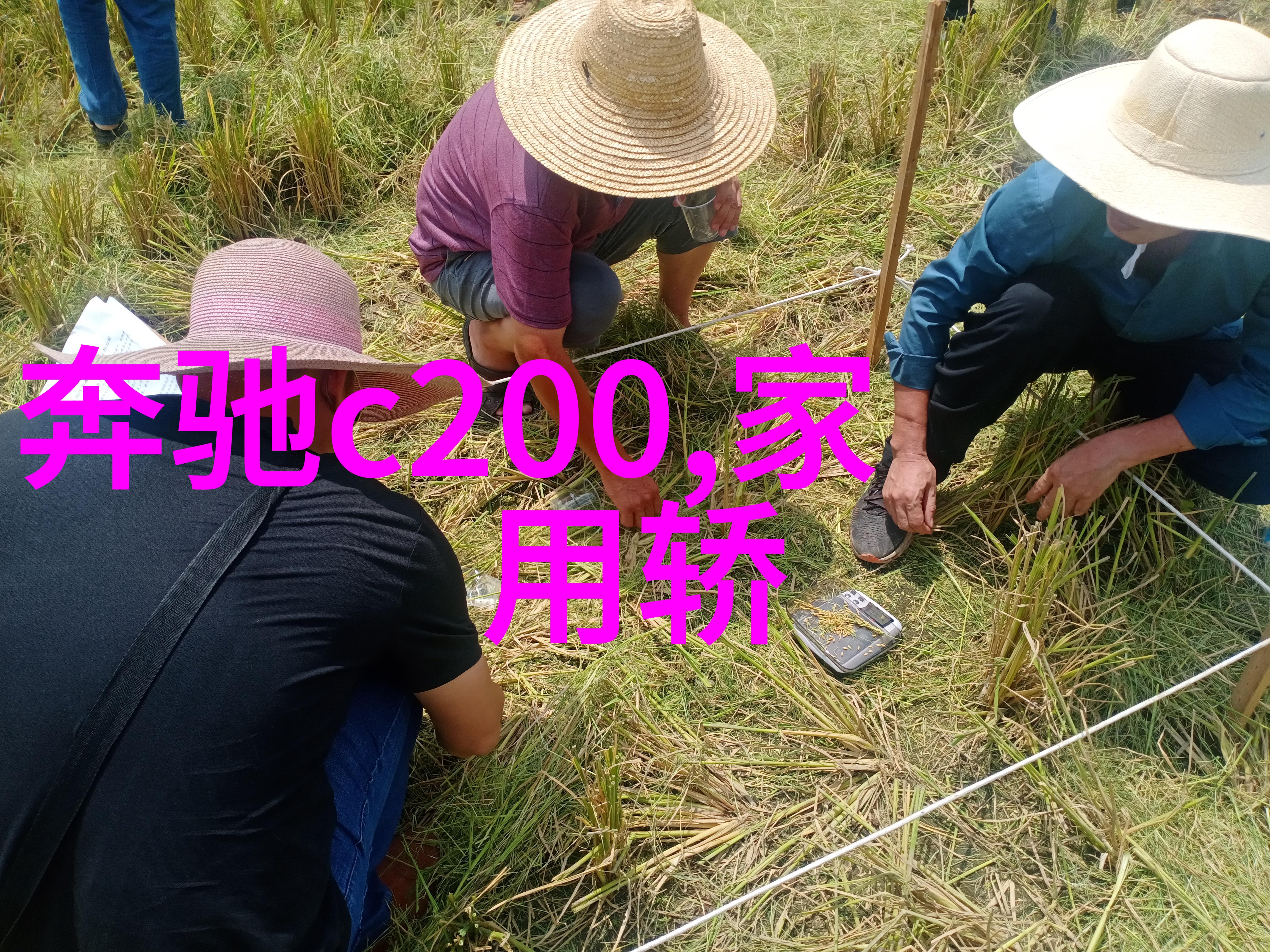 绚彩之环探秘彩虹圈的奥秘与魅力