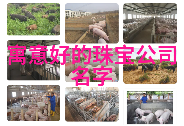 女生自己剪头发最简单的方法我来教你如何轻松DIY一学就会的自剪长发技巧