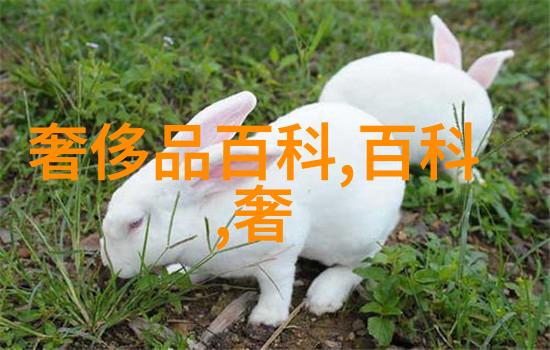 泪水中的申诉他把我批日出水了