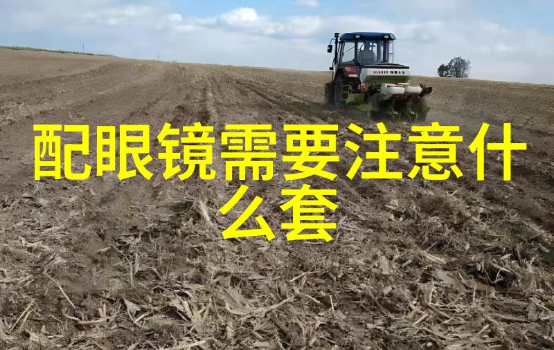 霍香水正气水的奇效与功用解密传统中药饮品的健康秘笈